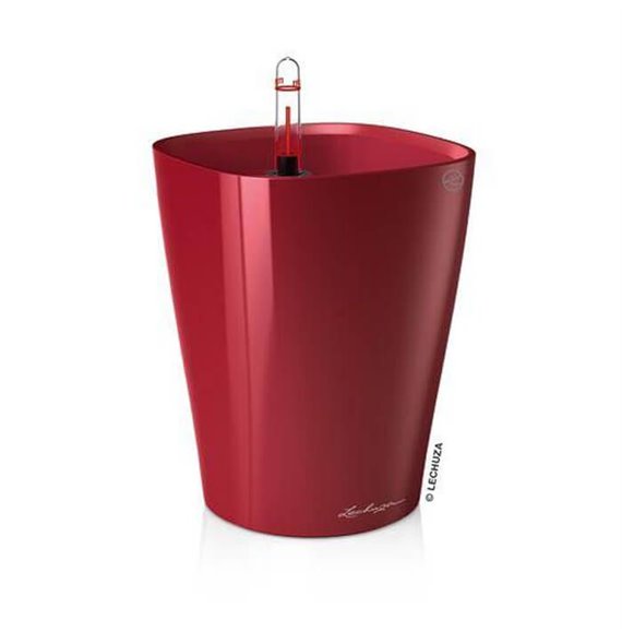 Deltini Premium - All-In-One Scarlet kat. št. 14919