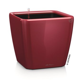 Quadro Premium 28 - LS All-In-One Scarlet kat. št. 16147