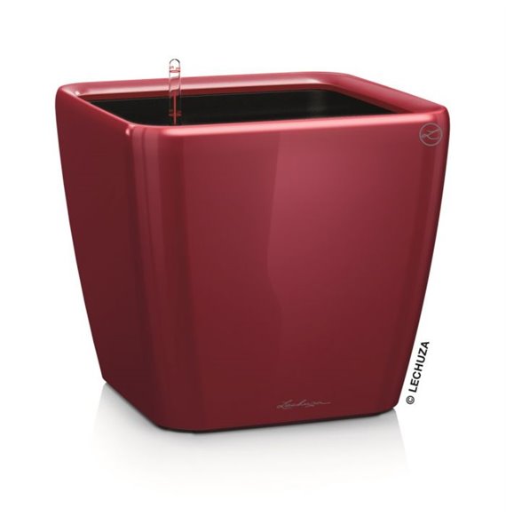 Quadro Premium 35 - LS All-In-One Scarlet kat. št. 16167