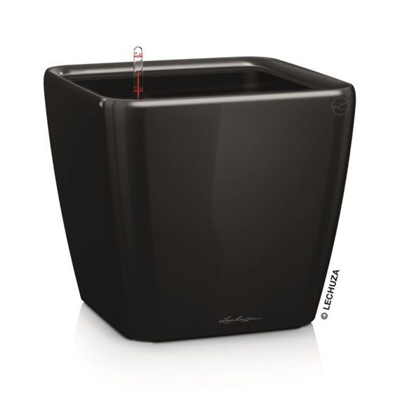 Quadro Premium 43 - LS All-In-One Black kat. št. 16189