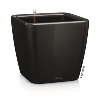Quadro Premium 50 - LS All-In-One Black kat. št. 16289