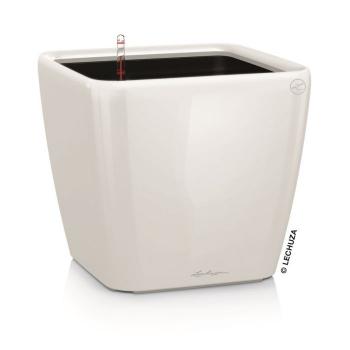 Quadro Premium 50 - LS...