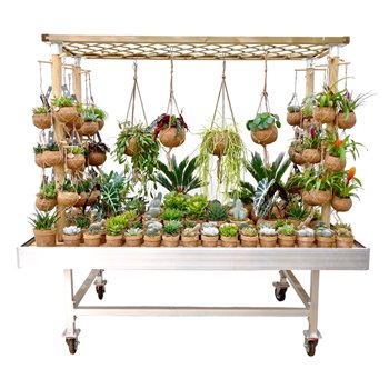 Nasad Sukulente Kokodama Presentation Rack (exclusive plants and table) 120 cm fi60 cm Q3500