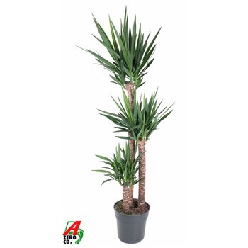 Juka 120-90-45 170 cm fi31 cm Q5344