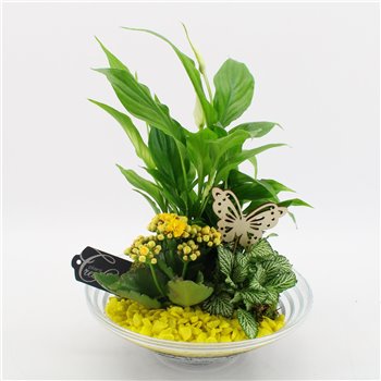 Nasad BACR-2502G Basic fundamentals 3 pp 40 cm fi25 cm Q583