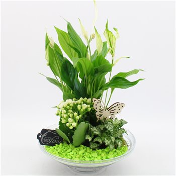 Nasad BACR-2502GR Basic fundamentals 3 pp 40 cm fi25 cm Q589