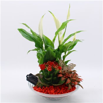 Nasad BACR-2502R Basic fundamentals 3 pp 40 cm fi25 cm Q594