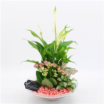 Nasad BACR-2502RZ Basic fundamentals 3 pp 40 cm fi25 cm Q596