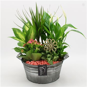 Nasad BACR-2515RZ Basic fundamentals 5 pp 55 cm fi23 cm Q615