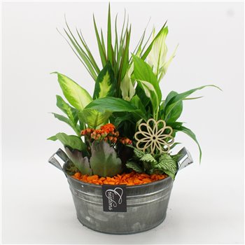 Nasad BACR-2515OR Basic fundamentals 5 pp 55 cm fi23 cm Q622
