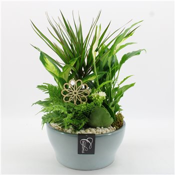 Nasad BACR-2512W Basic fundamentals 5 pp 55 cm fi22 cm Q628