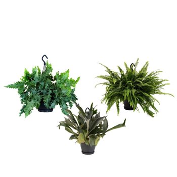 Varens mix Hangpot 60 cm fi20 cm Q5405