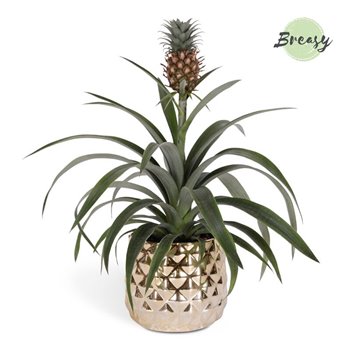 Ananas mi amigo Royal Crown ceramic - Goud 40 cm fi13 cm Q362