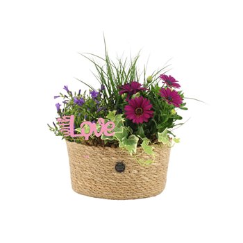 Nasad gardenplants 21752: Mothers day outdoor arrangement 4 pp 34 cm fi22 cm Q2922