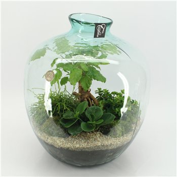 Nasad GRCR-2557 Green Essentials Terrarium 4 pp 60 cm fi45 cm Q5681