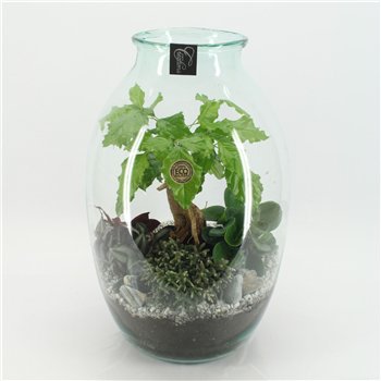 Nasad GRCR-2556 Green Essentials Terrarium 4 pp 60 cm fi36 cm Q5679