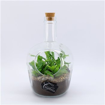 Nasad GRCR-2544 Green Essentials Terrarium 3 pp 35 cm fi18 cm Q5692