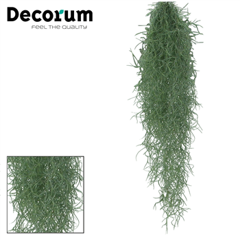 Tillandsia Usneoides L F00000322