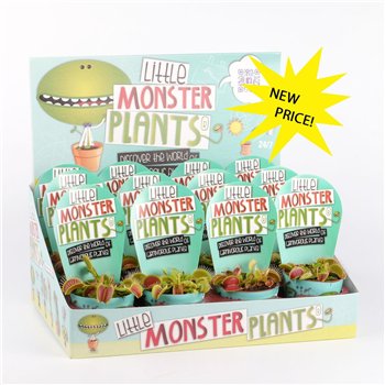 Vleesetende plants Little Monster Plants Dionaea in Displaydoos 10cm 8.5cm Q3924