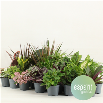 Groenmix Greenss F00001120