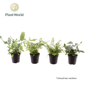 Varens mix Varen 7 cm 20cm 7cm Q5145