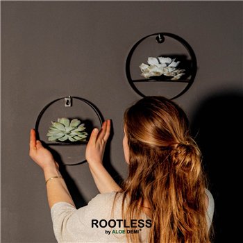 Nasad Sukulente ROOTLESS Echeveria  Black metal for wall1 pp 22cm 22cm Q255