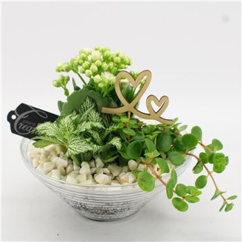 Nasad FDRM-2601W Romantic Fundamentals 3 pp 20cm 20cm Q515