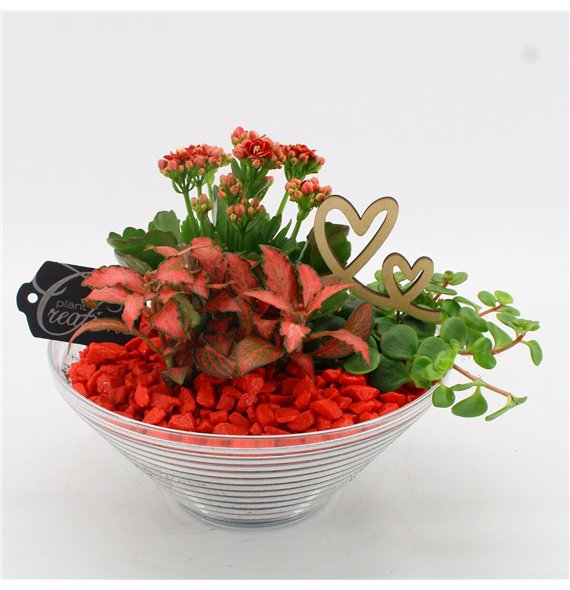 Nasad FDRM-2601R Romantic Fundamentals 3 pp 20cm 20cm Q517