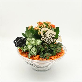 Nasad FDCR-2601OR Basic Fundamentals 3 pp 20cm 20cm Q518