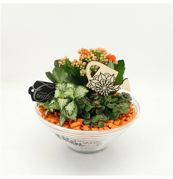 Nasad FDCR-2601OR Basic Fundamentals 3 pp 20cm 20cm Q518