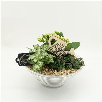 Nasad FDCR-2601W Basic Fundamentals 3 pp 20cm 20cm Q519