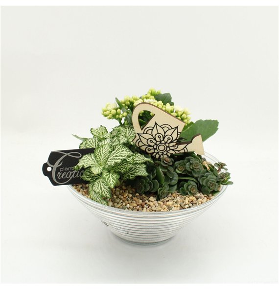 Nasad FDCR-2601W Basic Fundamentals 3 pp 20cm 20cm Q519