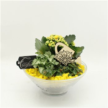 Nasad FDCR-2601G Basic Fundamentals 3 pp 20cm 20cm Q521