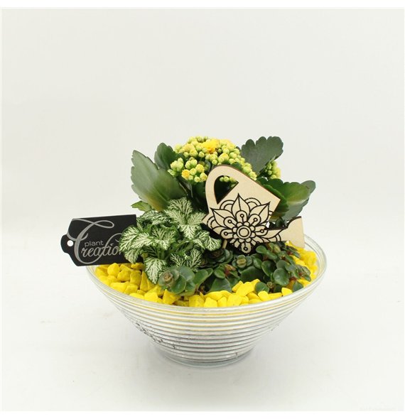 Nasad FDCR-2601G Basic Fundamentals 3 pp 20cm 20cm Q521