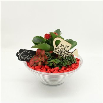 Nasad FDCR-2601R Basic Fundamentals 3 pp 20cm 20cm Q522