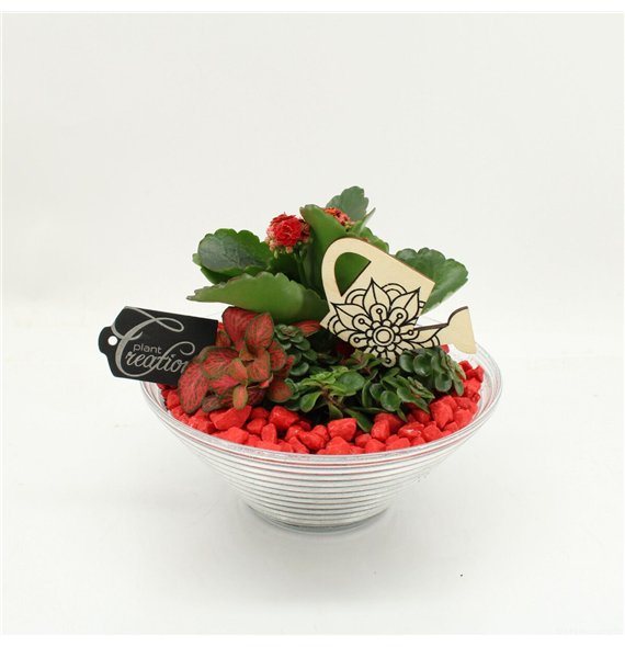 Nasad FDCR-2601R Basic Fundamentals 3 pp 20cm 20cm Q522