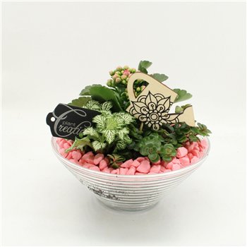 Nasad FDCR-2601RZ Basic Fundamentals 3 pp 20cm 20cm Q523