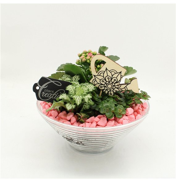 Nasad FDCR-2601RZ Basic Fundamentals 3 pp 20cm 20cm Q523