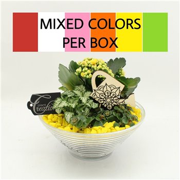 Nasad FDCR-2601M Basic Fundamentals 3 pp 20cm 20cm Q524