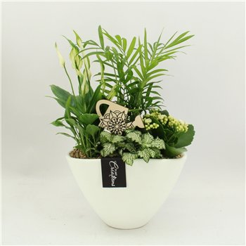 Nasad FDCR-2611W Basic Fundamentals 4 pp 45cm 21cm Q607