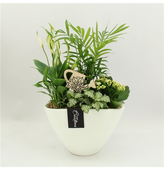 Nasad FDCR-2611W Basic Fundamentals 4 pp 45cm 21cm Q607