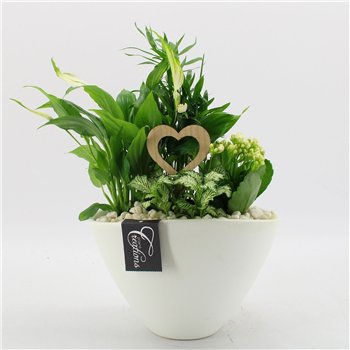 Nasad FDRM-2611W Romantic Fundamentals 4 pp 45cm 21cm Q608