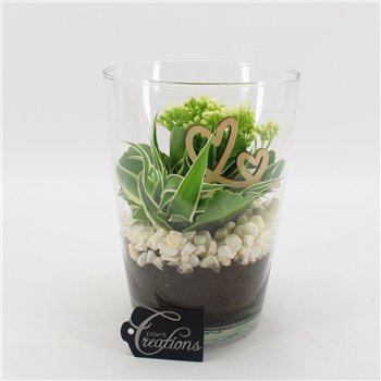 Nasad FDRM-2604W Romantic Fundamentals 2 pp 25cm 14cm Q570