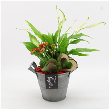 Nasad FDRM-2613R Romantic Fundamentals 2 pp 35cm 14cm Q574