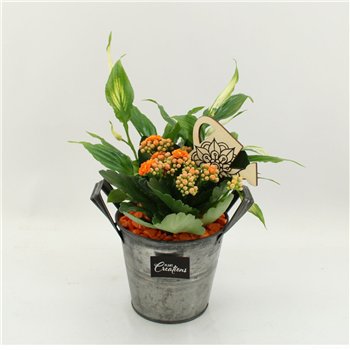 Nasad FDCR-2613OR Basic Fundamentals 2 pp 35cm 14cm Q576