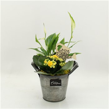 Nasad FDCR-2613G Basic Fundamentals 2 pp 35cm 14cm Q578