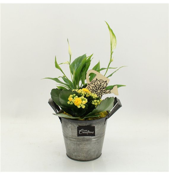 Nasad FDCR-2613G Basic Fundamentals 2 pp 35cm 14cm Q578