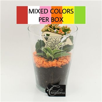 Nasad FDCR-2604M Basic Fundamentals 2 pp 25cm 14cm Q581