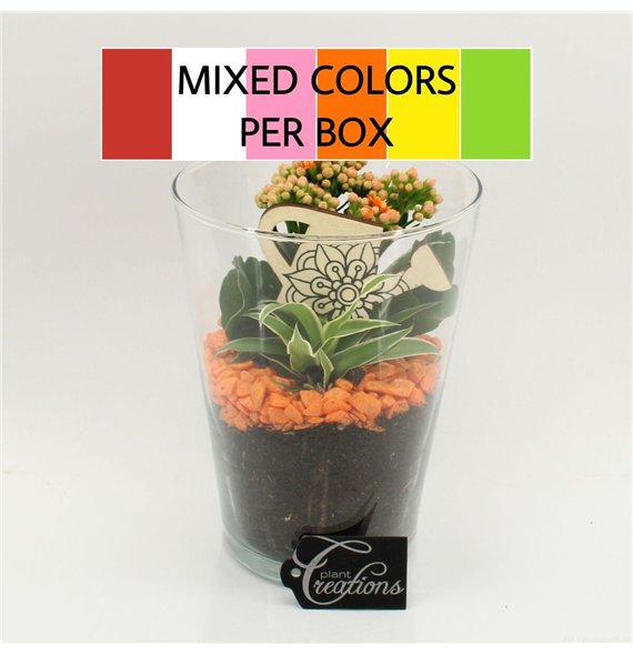 Nasad FDCR-2604M Basic Fundamentals 2 pp 25cm 14cm Q581