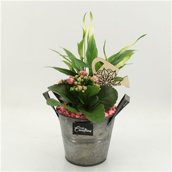 Nasad FDCR-2613RZ Basic Fundamentals 2 pp 35cm 14cm Q584